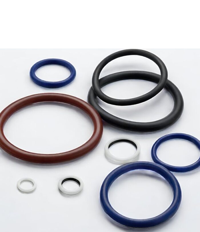 Encapsulated O-Ring - Image 1